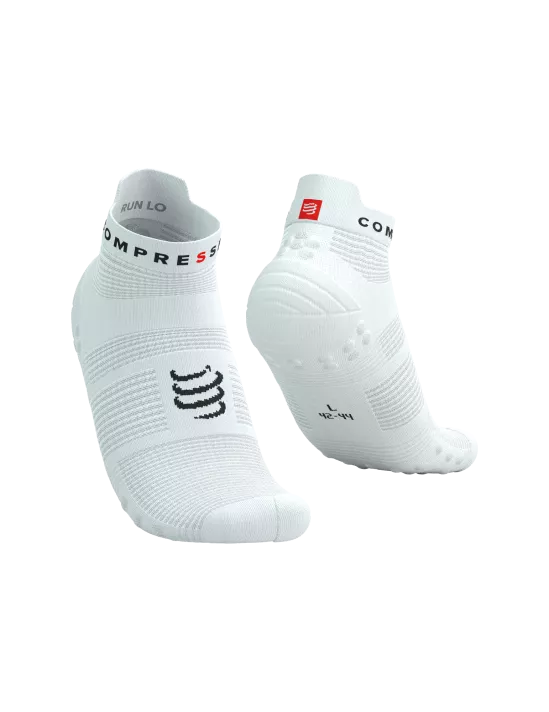 Wit / T2(39-41)